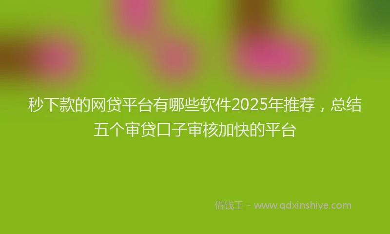 秒下款的网贷平台有哪些软件2025年推荐，总结五个审贷口子审核加快的平台