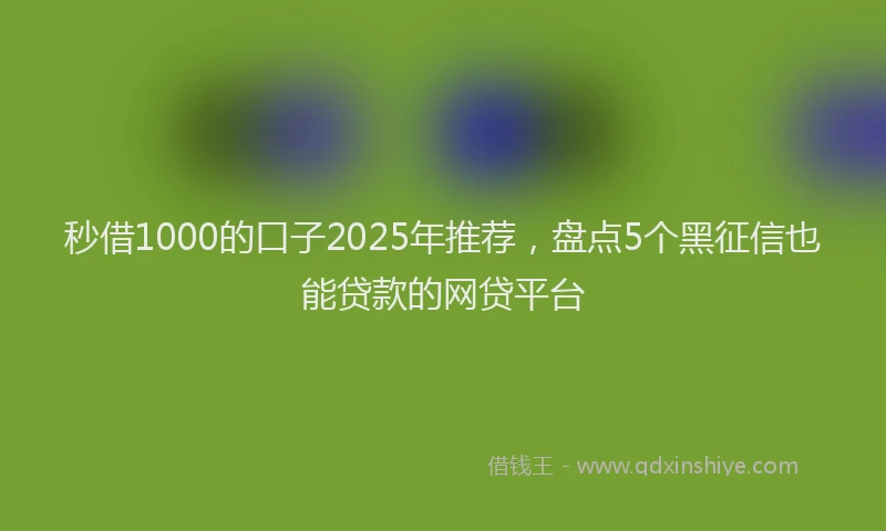 秒借1000的口子2025年推荐，盘点5个黑征信也能贷款的网贷平台