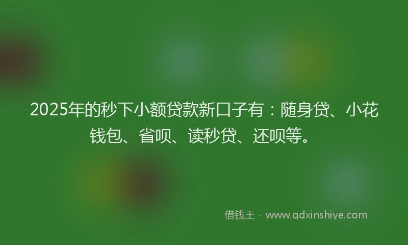 2025年的秒下小额贷款新口子有：随身贷、小花钱包、省呗、读秒贷、还呗等。
