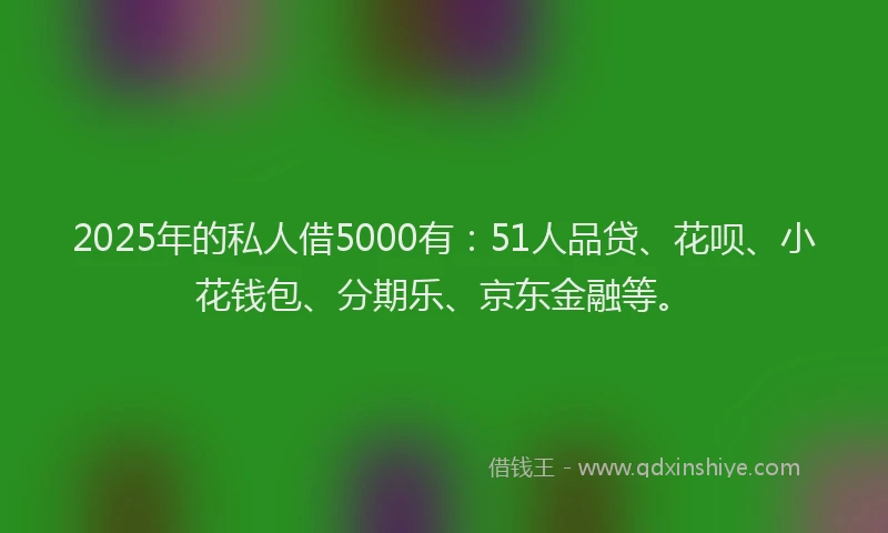 2025年的私人借5000有：51人品贷、花呗、小花钱包、分期乐、京东金融等。