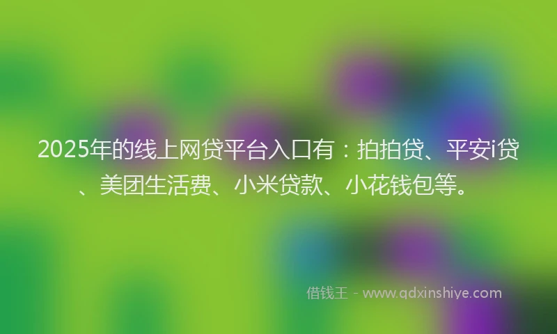 2025年的线上网贷平台入口有：拍拍贷、平安i贷、美团生活费、小米贷款、小花钱包等。