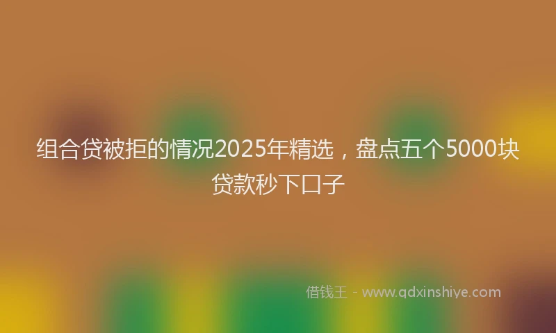 组合贷被拒的情况2025年精选，盘点五个5000块贷款秒下口子