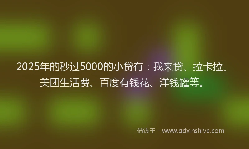 2025年的秒过5000的小贷有：我来贷、拉卡拉、美团生活费、百度有钱花、洋钱罐等。