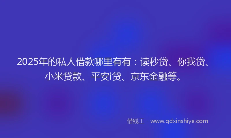 2025年的私人借款哪里有有：读秒贷、你我贷、小米贷款、平安i贷、京东金融等。