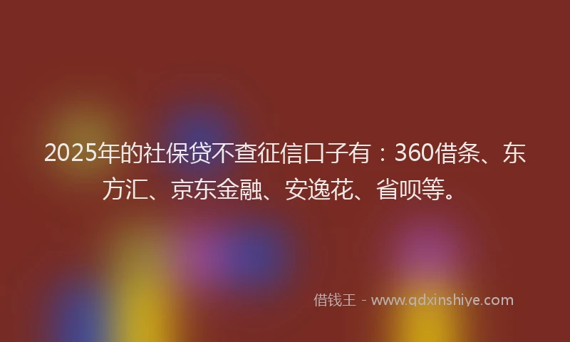 2025年的社保贷不查征信口子有：360借条、东方汇、京东金融、安逸花、省呗等。