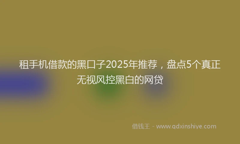 租手机借款的黑口子2025年推荐，盘点5个真正无视风控黑白的网贷