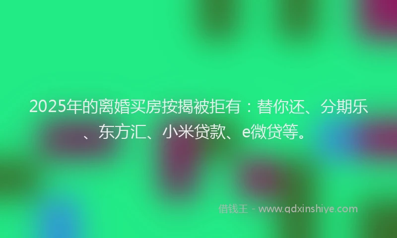 2025年的离婚买房按揭被拒有：替你还、分期乐、东方汇、小米贷款、e微贷等。