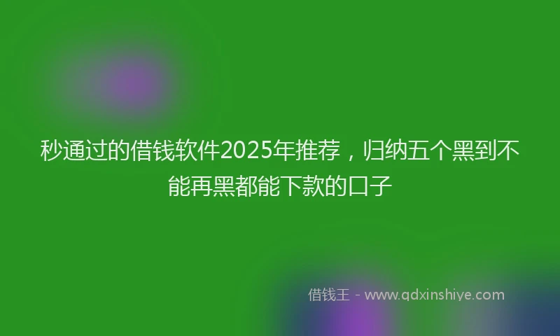 秒通过的借钱软件2025年推荐，归纳五个黑到不能再黑都能下款的口子
