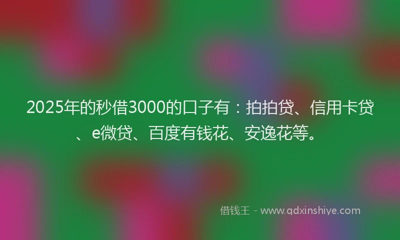 2025年的秒借3000的口子有：拍拍贷、信用卡贷、e微贷、百度有钱花、安逸花等。