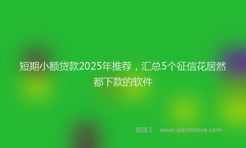 短期小额贷款2025年推荐，汇总5个征信花居然都下款的软件