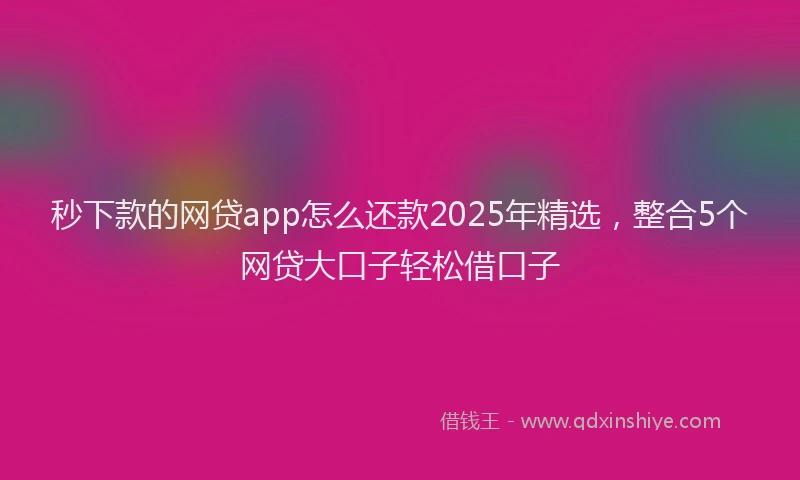 秒下款的网贷app怎么还款2025年精选，整合5个网贷大口子轻松借口子