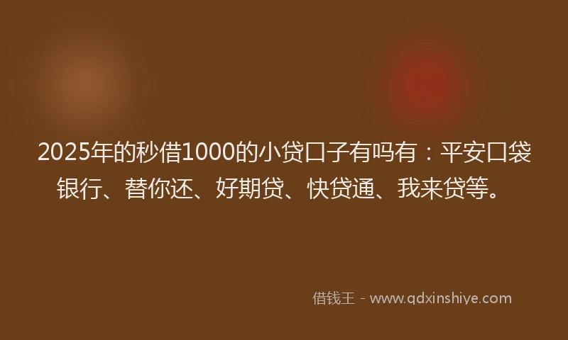 2025年的秒借1000的小贷口子有吗有：平安口袋银行、替你还、好期贷、快贷通、我来贷等。
