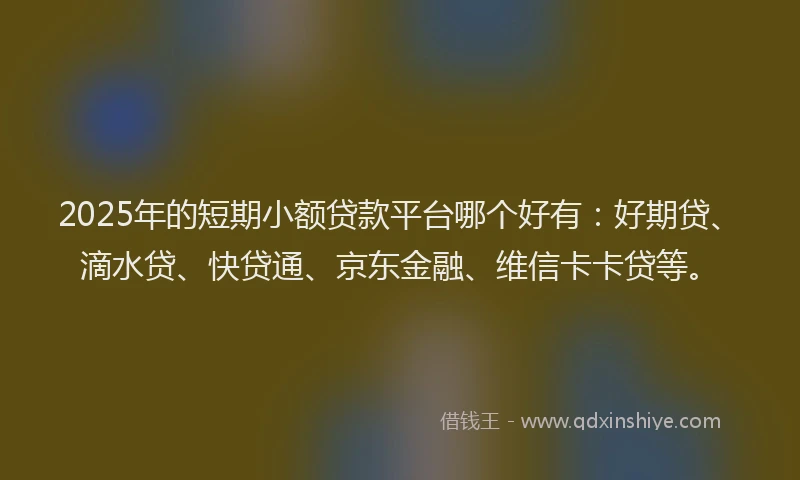 2025年的短期小额贷款平台哪个好有：好期贷、滴水贷、快贷通、京东金融、维信卡卡贷等。