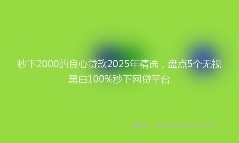 秒下2000的良心贷款2025年精选，盘点5个无视黑白100%秒下网贷平台