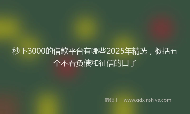 秒下3000的借款平台有哪些2025年精选，概括五个不看负债和征信的口子