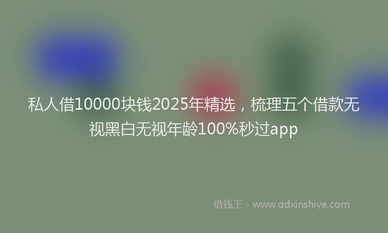 私人借10000块钱2025年精选，梳理五个借款无视黑白无视年龄100%秒过app