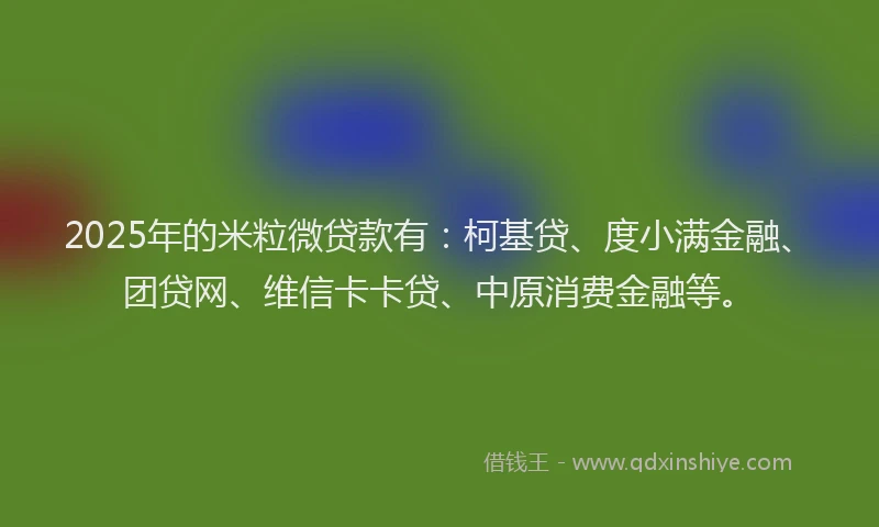2025年的米粒微贷款有：柯基贷、度小满金融、团贷网、维信卡卡贷、中原消费金融等。