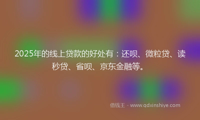 2025年的线上贷款的好处有：还呗、微粒贷、读秒贷、省呗、京东金融等。