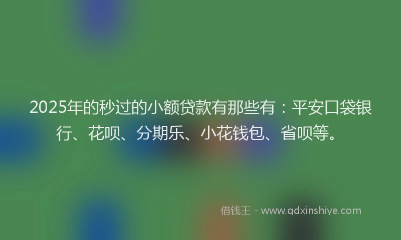2025年的秒过的小额贷款有那些有：平安口袋银行、花呗、分期乐、小花钱包、省呗等。
