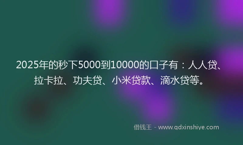 2025年的秒下5000到10000的口子有：人人贷、拉卡拉、功夫贷、小米贷款、滴水贷等。