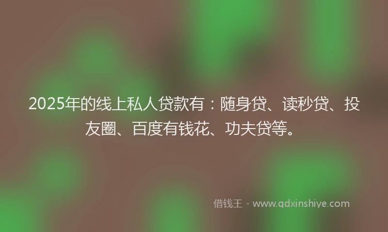 2025年的线上私人贷款有：随身贷、读秒贷、投友圈、百度有钱花、功夫贷等。