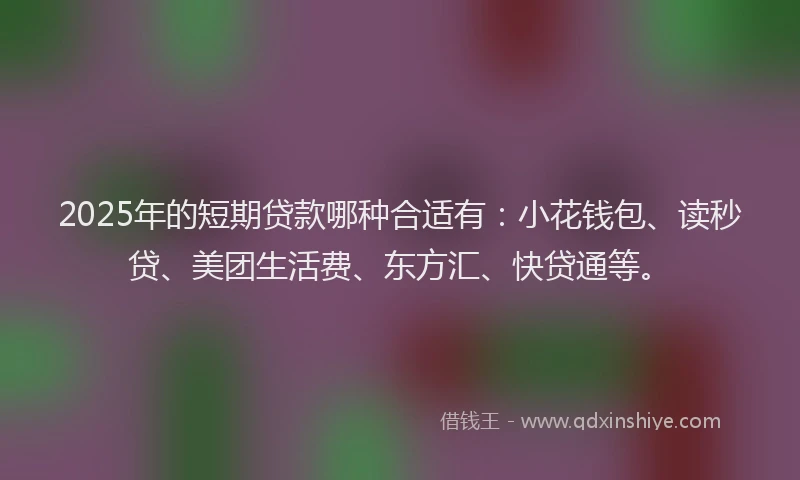 2025年的短期贷款哪种合适有：小花钱包、读秒贷、美团生活费、东方汇、快贷通等。