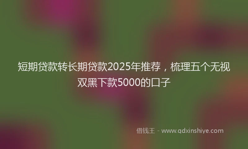 短期贷款转长期贷款2025年推荐，梳理五个无视双黑下款5000的口子