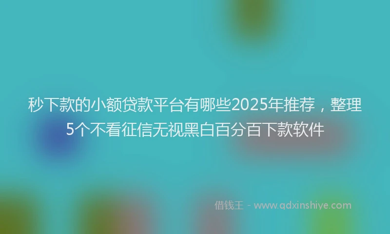 秒下款的小额贷款平台有哪些2025年推荐，整理5个不看征信无视黑白百分百下款软件