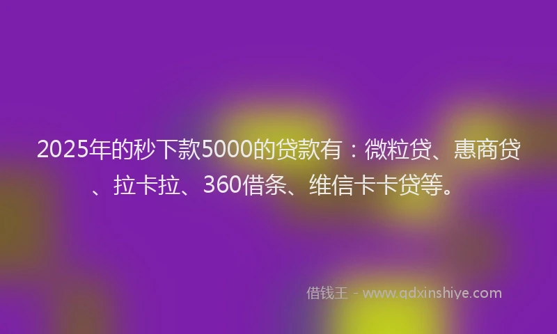 2025年的秒下款5000的贷款有：微粒贷、惠商贷、拉卡拉、360借条、维信卡卡贷等。