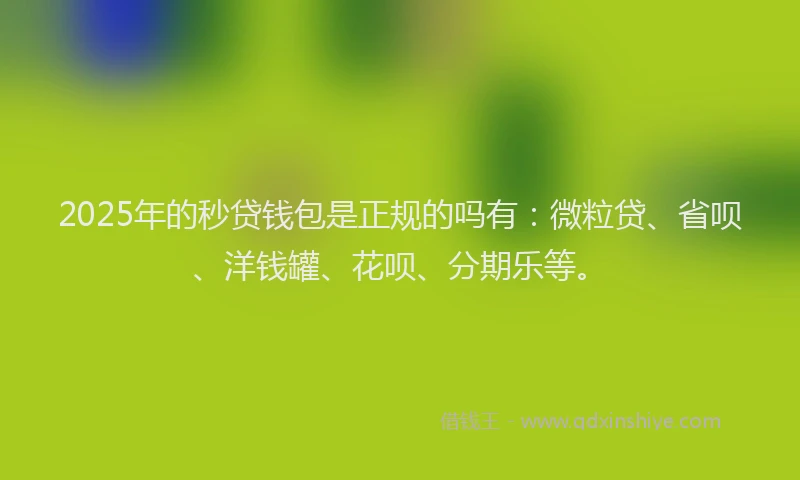 2025年的秒贷钱包是正规的吗有：微粒贷、省呗、洋钱罐、花呗、分期乐等。