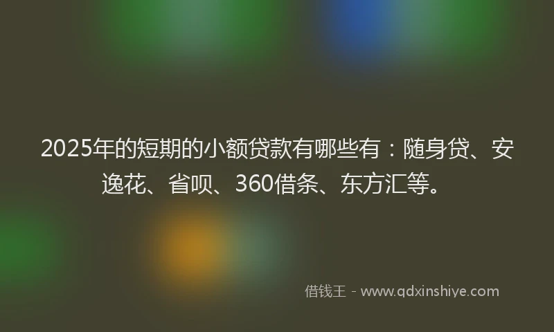 2025年的短期的小额贷款有哪些有：随身贷、安逸花、省呗、360借条、东方汇等。