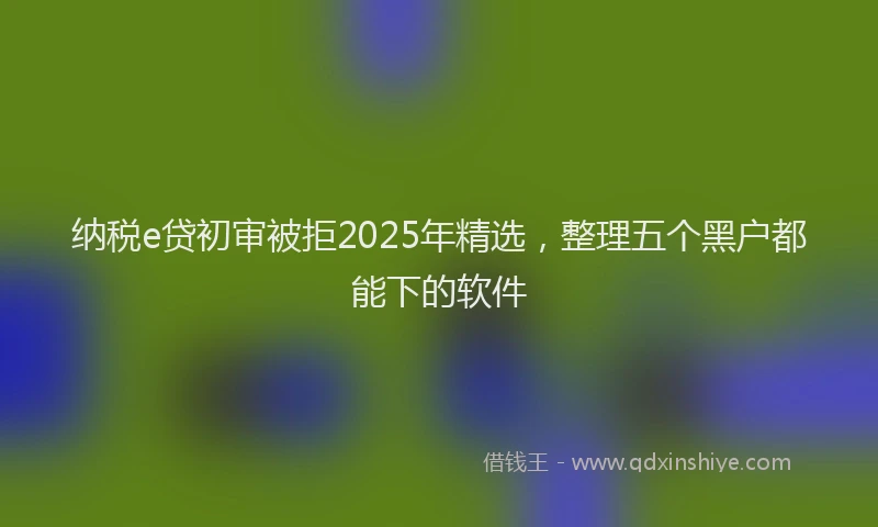 纳税e贷初审被拒2025年精选，整理五个黑户都能下的软件
