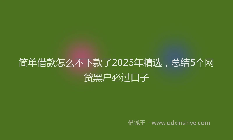 简单借款怎么不下款了2025年精选，总结5个网贷黑户必过口子