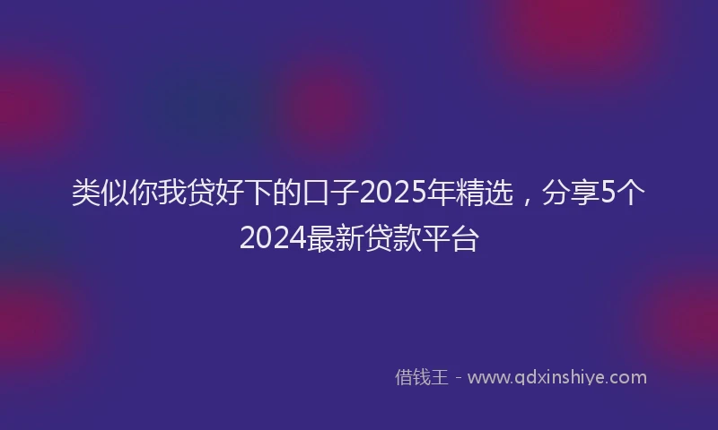 类似你我贷好下的口子2025年精选，分享5个2024最新贷款平台