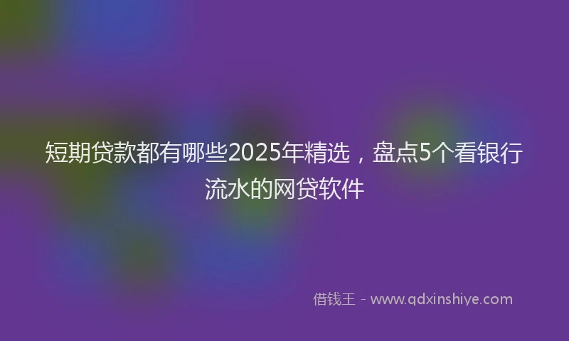 短期贷款都有哪些2025年精选，盘点5个看银行流水的网贷软件
