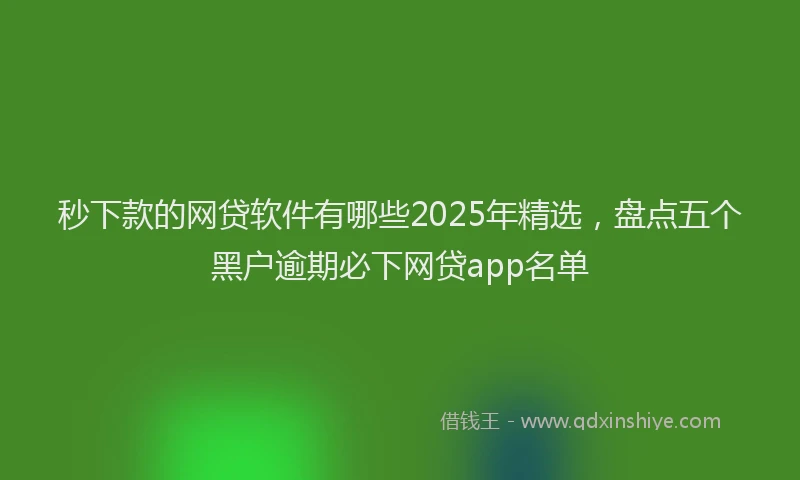 秒下款的网贷软件有哪些2025年精选，盘点五个黑户逾期必下网贷app名单