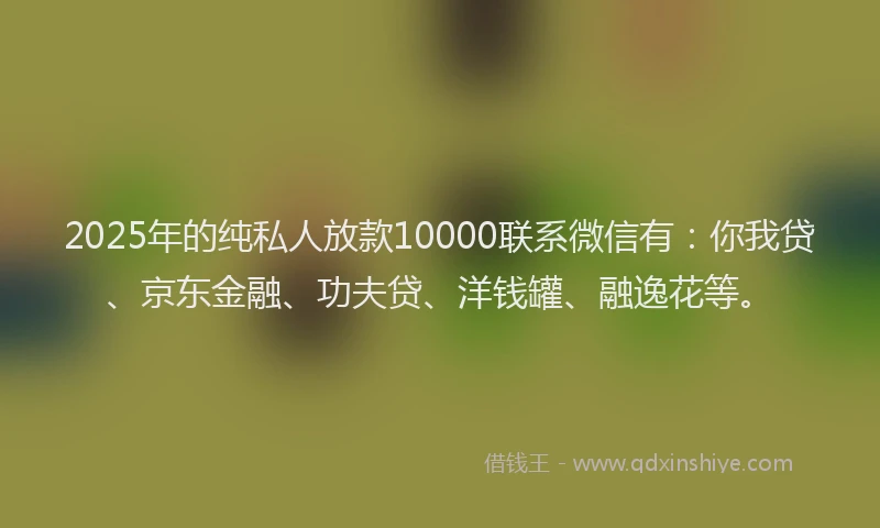 2025年的纯私人放款10000联系微信有：你我贷、京东金融、功夫贷、洋钱罐、融逸花等。
