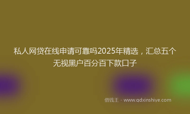 私人网贷在线申请可靠吗2025年精选，汇总五个无视黑户百分百下款口子