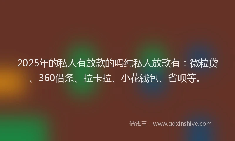 2025年的私人有放款的吗纯私人放款有：微粒贷、360借条、拉卡拉、小花钱包、省呗等。