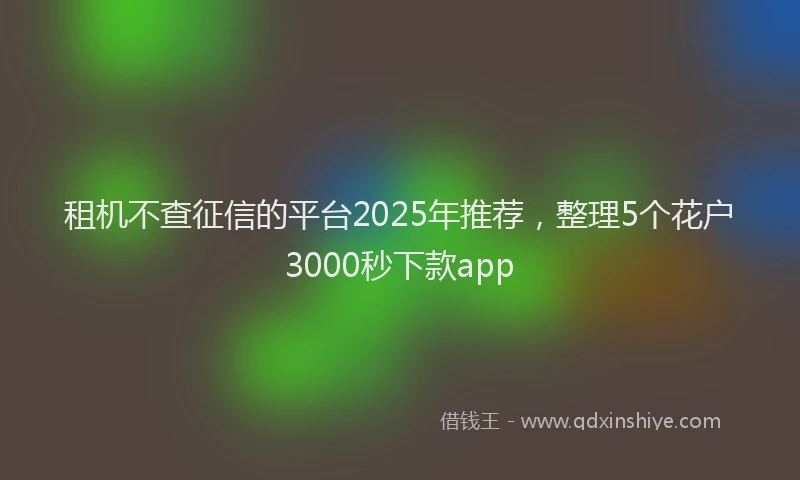 租机不查征信的平台2025年推荐，整理5个花户3000秒下款app
