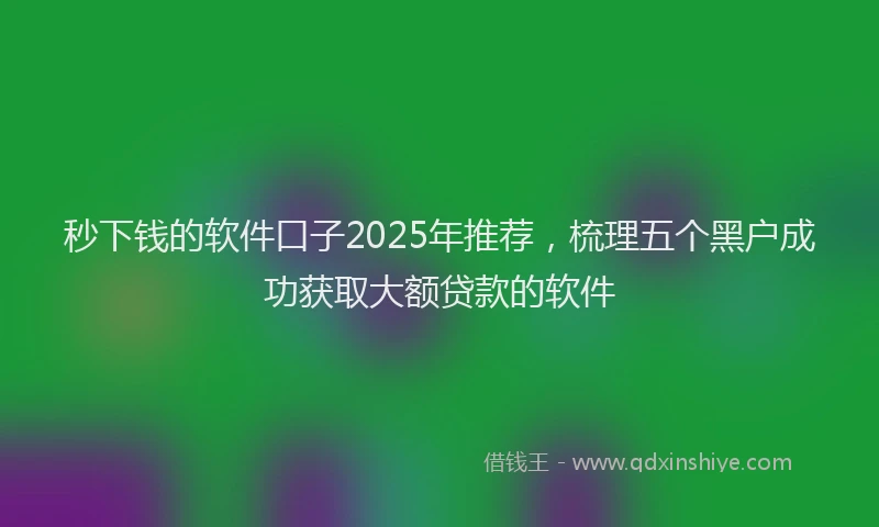 秒下钱的软件口子2025年推荐，梳理五个黑户成功获取大额贷款的软件