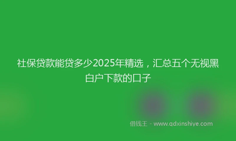 社保贷款能贷多少2025年精选，汇总五个无视黑白户下款的口子
