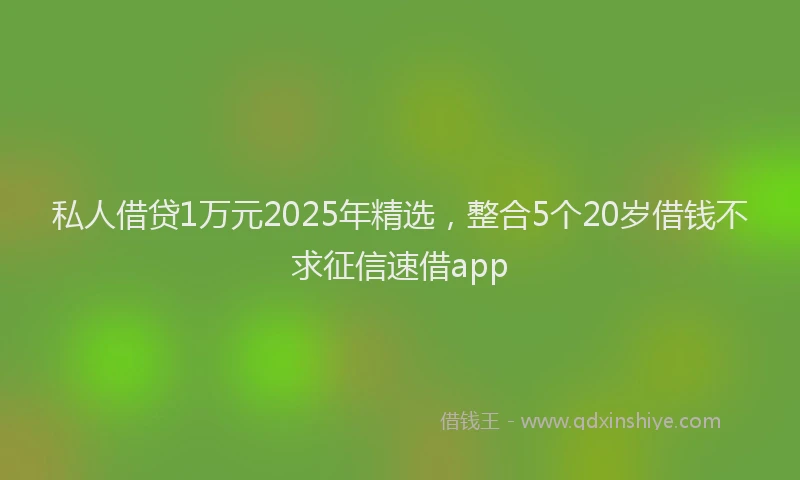 私人借贷1万元2025年精选，整合5个20岁借钱不求征信速借app