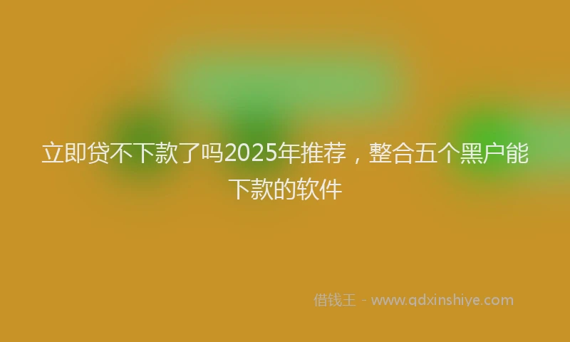 立即贷不下款了吗2025年推荐，整合五个黑户能下款的软件