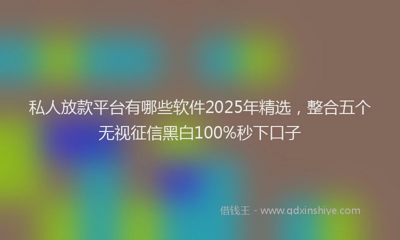 私人放款平台有哪些软件2025年精选，整合五个无视征信黑白100%秒下口子