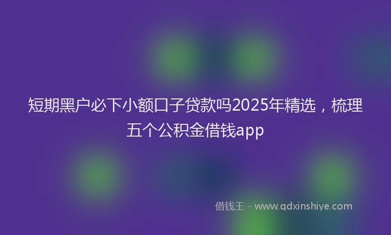 短期黑户必下小额口子贷款吗2025年精选，梳理五个公积金借钱app