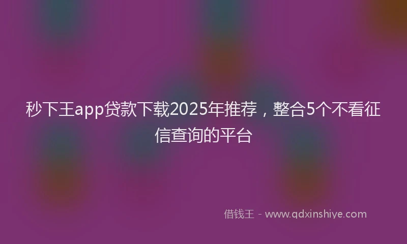 秒下王app贷款下载2025年推荐，整合5个不看征信查询的平台