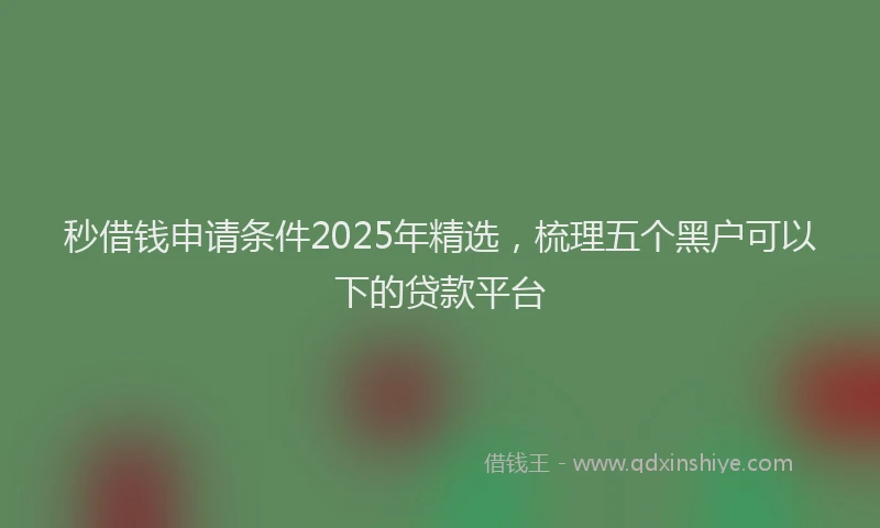 秒借钱申请条件2025年精选，梳理五个黑户可以下的贷款平台