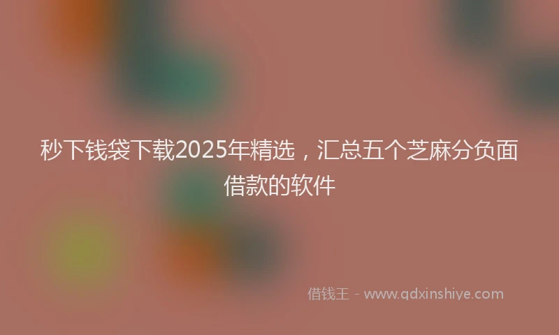 秒下钱袋下载2025年精选，汇总五个芝麻分负面借款的软件