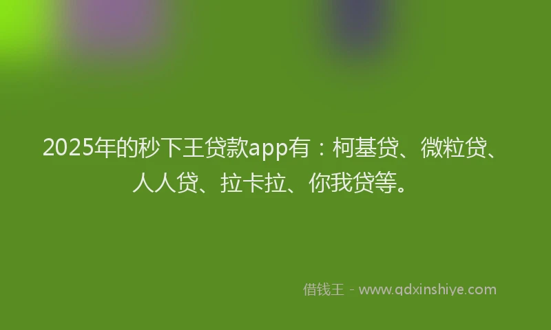 2025年的秒下王贷款app有：柯基贷、微粒贷、人人贷、拉卡拉、你我贷等。